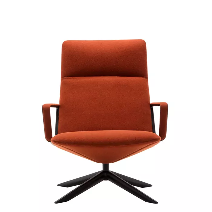Capri Lounge lounge chairs BU1701 designed by Piergiorgio